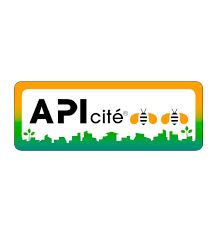 Apicité 2 abeilles