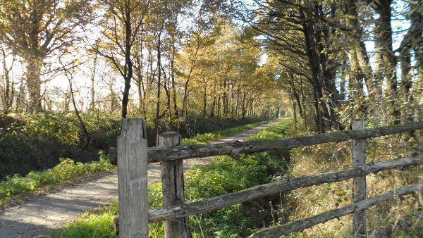 Paysage voie verte