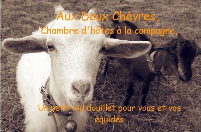 Aux Deux Chèvres 3